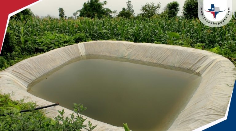 Is Harvesting Rainwater Illegal in Texas?
