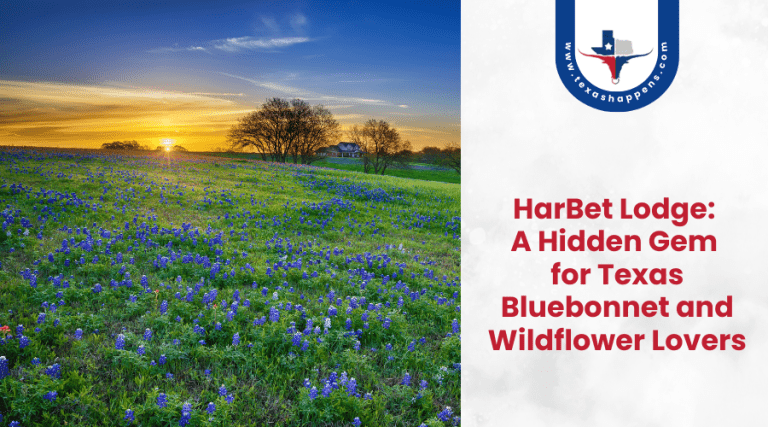 HarBet Lodge A Hidden Gem for Texas Bluebonnet and Wildflower Lovers