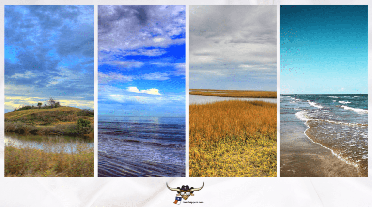 Best Beaches in Texas for Beachcombing: Top Spots for Finding Shells and Sea Treasures