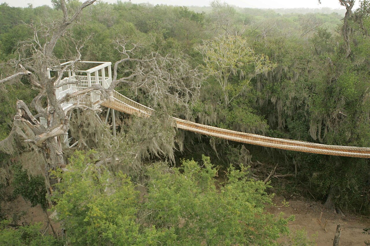 Santa Ana Wildlife Refuge Boardwalk