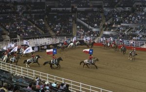 Best Rodeos Texas: Top Events and Must-See Shows for 2025