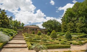 Texas Botanic Gardens: Exploring Nature and Conservation in the Lone Star State