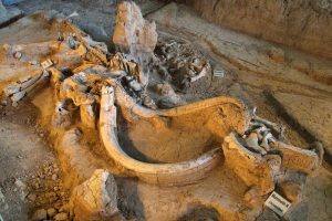 Texas Prehistoric Road Trip: Exploring Ancient Sites and Fossils Across the State